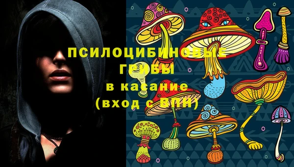 соль курить ск Аркадак