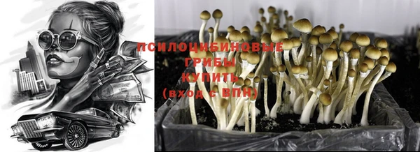 гашиш Арсеньев