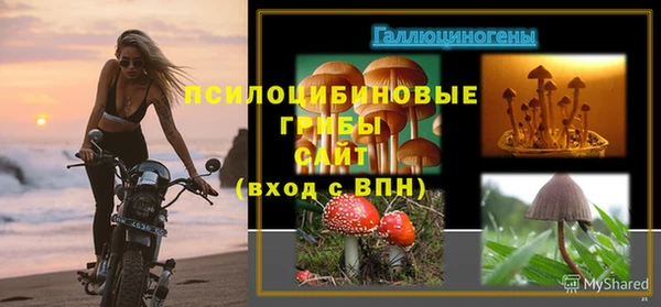 гашиш Арсеньев