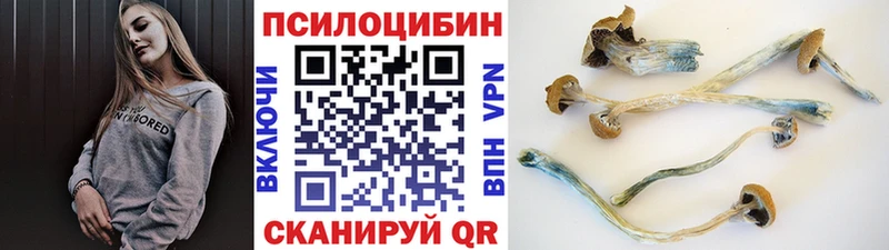 MEGA рабочий сайт  Полярный  Псилоцибиновые грибы Cubensis 